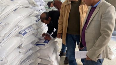حملات تموينية مكثفة بالإسكندرية وإجراءات رادعة ضد المخالفين