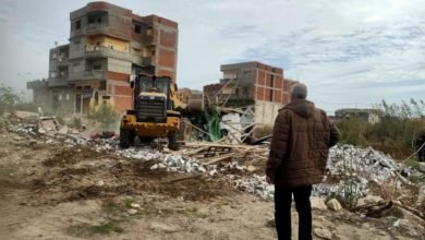 محافظ الإسكندرية يوجه بتنفيذ حملات مُكبرة لإزالة التعديات على الأراضي الزراعية وإيقاف أعمال البناء المخالف بأحياء الثغر