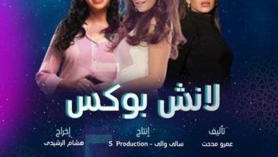 تتورط فى سرقة..القصة الكاملة لـ مسلسل"لانش بوكس" بطولة غادة عادل