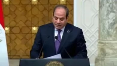 نص كلمة الرئيس السيسي في المؤتمر الصحفي المشترك مع نظيره التركي