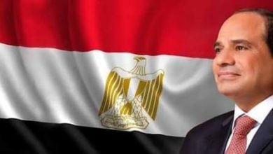 السيسي يوجه بزيادة أجور العاملين بالدولة والهيئات الاقتصادية بحد أدنى يصل إلى 1200 جنيه