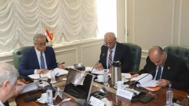 وزير العمل :مستمرون في دفع عجلات الإنتاج و مُساندة العمال و"الشركات" وقت التحديات تنفيذًا لتوجيهات الرئيس السيسي
