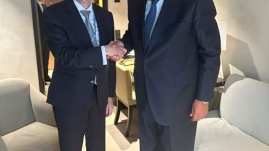 شكري يلتقي بوزير خارجية النرويج