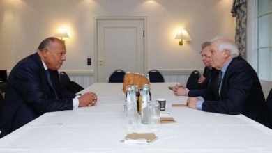 شكري وبوريل يؤكدان حرصهما على العمل المشترك لتحقيق انفراجة في الوضع المتأزم في قطاع غزة