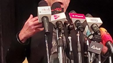 محمود حميدة: مهرجان الأقصر مهم جدا ويجب دعمه حتى يستمر