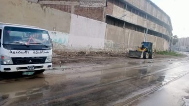 تنفيذًا لتوجيهات محافظ الإسكندرية بتكثيف معدلات رفع القمامة