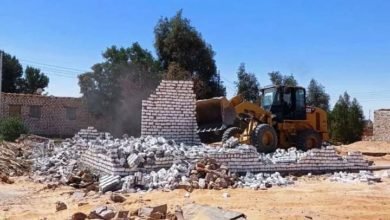 إزالة تعديات ورفع للتراكمات وتنفيذ أعمال النظافة العامة بمدن إدفو وأسوان وأبو سمبل السياحية