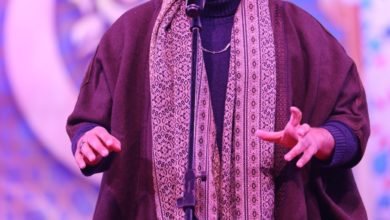 تفاعل جمهور "هل هلالك" مع الفنان "على الألفى" على مسرح ساحة الهناجر 
