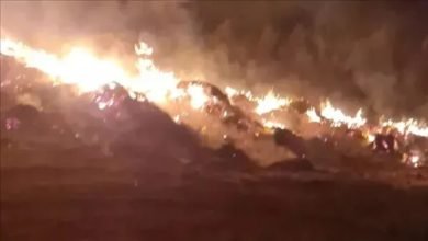حريق كبير يلتهم مزارع بالقصاصين في الإسماعيلية