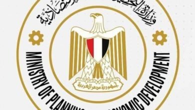وزارة التخطيط والتنمية الاقتصادية تصدر تقريرًا حول مشروع رفع كفاءة الأداء الحكومي