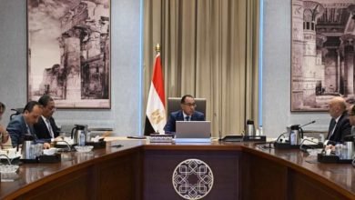 رئيس الوزراء يُتابع جهود جهاز تنمية المشروعات المتوسطة والصغيرة ومتناهية الصغر والخطط المستقبلية
