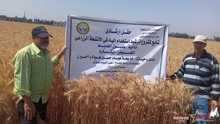 الزراعة تنظم يوم حصاد في الدقهلية لحقول القمح المنزرعة بالأساليب الحديثة والموفرة للمياه وعالية الإنتاجية
