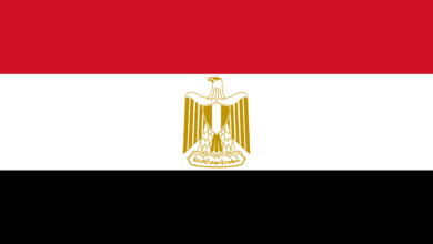مصدر أمني : الدفاعات الجوية المصرية في حالة تأهب قصوى