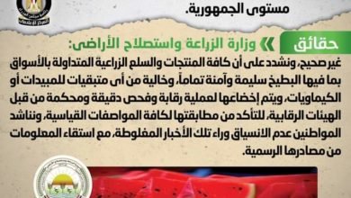 شائعة : انتشار بطيخ مسرطن بمختلف الأسواق على مستوى الجمهورية