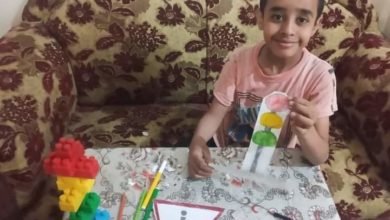 أهمية إشارات المرور... بقلم: هيثم السنارى