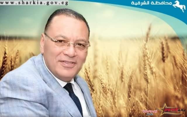 استمرار توافد محصول القمح على صوامع وشون محافظة الشرقية