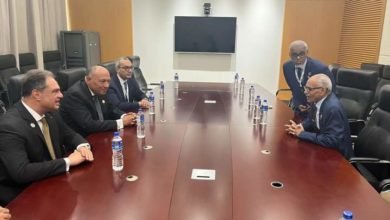 شكري يلتقي وزير خارجية السودان على هامش الدورة الخامسة عشرة لمؤتمر القمة الإسلامي