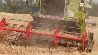 محافظ الشرقية إنتظام سير العمل بمنظومة توريد القمح لشون وصوامع المحافظة