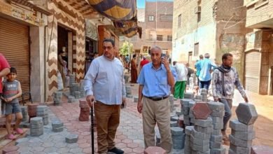 محافظ أسيوط: مواصلة تركيب بلاط الانترلوك بالشوارع الضيقة بمدينة منفلوط ضمن خطة التطوير والتجميل
