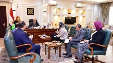 وزير العمل بحث مع السفيرة القبرصية بالقاهرة آليات تنفيذ خطة إرسال عِمالة مصرية إلى قبرص