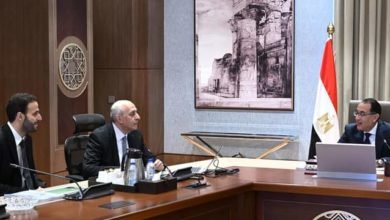 رئيس الوزراء يلتقى مسئولى إحدى الشركات المتخصصة فى الرى تحت السطحى 