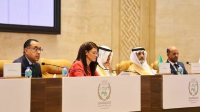 «المشاط» تُثمن مبادرة مجموعة التنسيق العربية بإتاحة 24 مليار دولار للدول الأعضاء للتصدي للأزمات المناخية حتى 2030