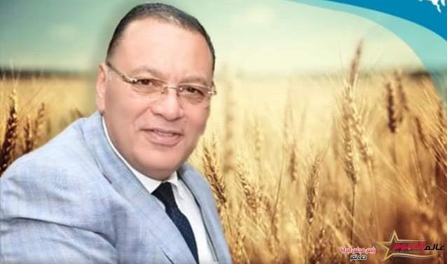 انتهاء المزارعين من حصاد محصول القمح واستمرار توافد الأطنان المحصودة على صوامع وشون محافظة الشرقية 2 انتهاء المزارعين من حصاد محصول القمح واستمرار توافد الأطنان المحصودة على صوامع وشون محافظة الشرقية