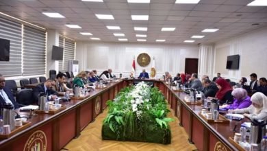 وزير العمل يترأس الإجتماع الثلاثي للتحضير لمؤتمر العمل الدولي بحضور مكتب منظمة العمل بالقاهرة