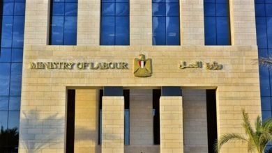 وزارة العمل: استكمال عمليات تسجيل وحصر العمالة غير المنتظمة بالوادى الجديد