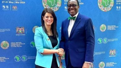 وزيرة التعاون الدولي تلتقي رئيس بنك التنمية الأفريقي لمناقشة محفظة التعاون المشترك