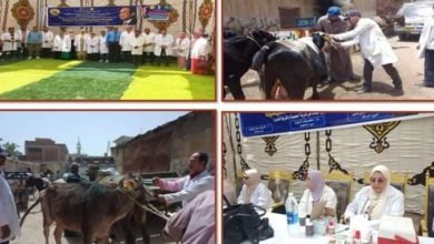 بيطري الشرقية يُنظم قافلة طبية علاجية بيطرية مجانية بقرية الحلمية التابعة لمركز و مدينة أبو حماد  