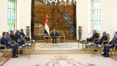 الرئيس السيسي يستقبل السيد "تيودورو نجيما أوبيانج مانج"نائب رئيس جمهورية غينيا الاستوائية