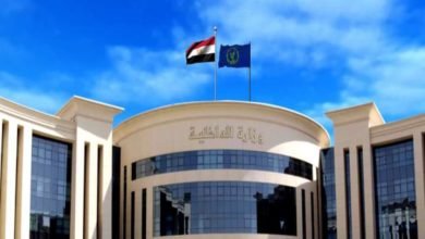 الداخلية تكشف ملابسات تداول فيديو لعامل ببازار يروج لأفكار مغلوطة عن الحضارة المصرية القديمة