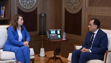 رئيس الوزراء يلتقي "والي" لمناقشة التعاون المشترك في مجال مكافحة الإدمان والهجرة غير الشرعية