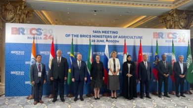 وزير الزراعة يؤكد على مبادرة الدولة المصرية بانشاء منطقة لوجيستية لتخزين وتوزيع الحبوب