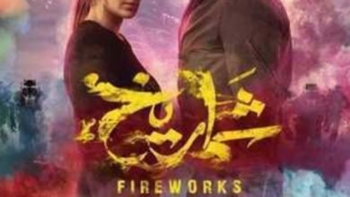 آسر ياسين وأمينة خليل في "شماريخ" لأول مرة الليلة على ART