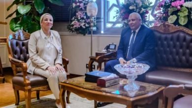 وزيرة البيئة تستقبل محافظ الوادي الجديد لبحث الفرص الاستثمارية بقطاع المخلفات الزراعية 