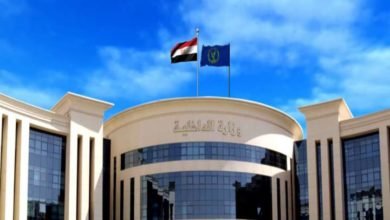 كشف ملابسات استغاثة سيدة من اعتداء مسجل خطر على شقيقها وإحراق ورشة والدها بدمياط