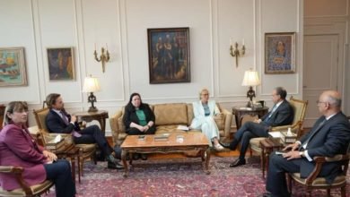 وزير الخارجية يستقبل كبيرة منسقي الأمم المتحدة للشئون الإنسانية وإعادة الإعمار في قطاع غزة