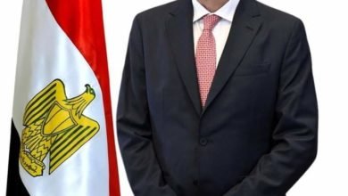 الزراعة: اللجان الفنية المصرية الغينية المشتركة تبحث تفعيل التعاون الزراعي بين البلدين الشقيقين