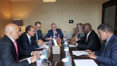 وزير الخارجية والهجرة وشئون المصريين بالخارج يجتمع مع وزير الشئون الخارجية والتعاون بموريتانيا