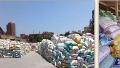 محافظ الشرقية : إنتظام سير العمل بمنظومة توريد القمح لشون وصوامع محافظة الشرقية