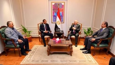 نائب رئيس مجلس الوزراء للتنمية الصناعية وزير الصناعة والنقل يستقبل رئيس وأعضاء لجنة الصناعة بمجلس الشيوخ 