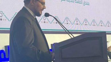 د. مصطفى الأقفهصي: دار الإفتاء المصرية تتصدى للفتاوى المناهضة لصناعة السلام بفاعلية