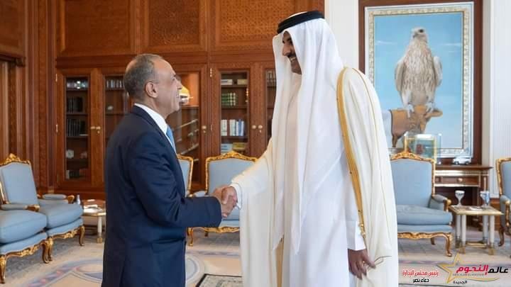 أمير دولة قطر يستقبل وزير الخارجية والهجرة وشئون المصريين بالخارج خلال زيارته الحالية إلى الدوحة