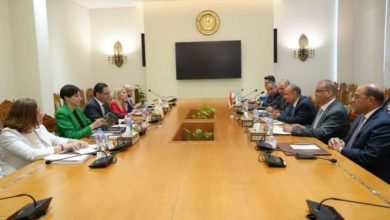 وزير الخارجية والهجرة وشئون المصريين بالخارج يجرى مشاورات سياسية مع وزير خارجية قبرص