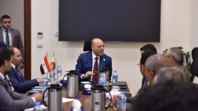 وزير العمل يترأس لجنة إعداد دليل التصنيف المهني المصري