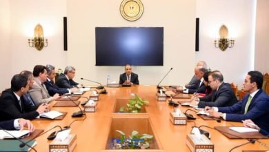 وزير الخارجية والهجرة وشئون المصريين في الخارج يجتمع بقيادات وأعضاء قطاع الشئون العربية