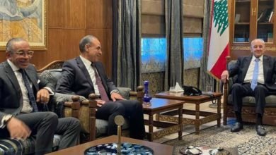 وزير الخارجية والهجرة يؤكد دعم مصر للبنان خلال لقاءاته في بيروت مع رئيس مجلس النواب ورئيس الوزراء اللبنانيين
