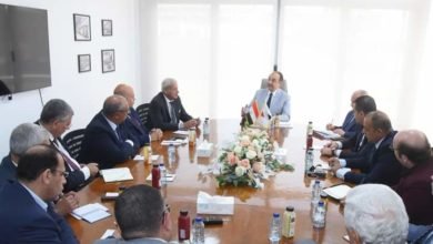 وزير قطاع الأعمال العام يبحث مع ممثلي شعبة وسائل النقل باتحاد الصناعات فرص التعاون في صناعة السيارات  